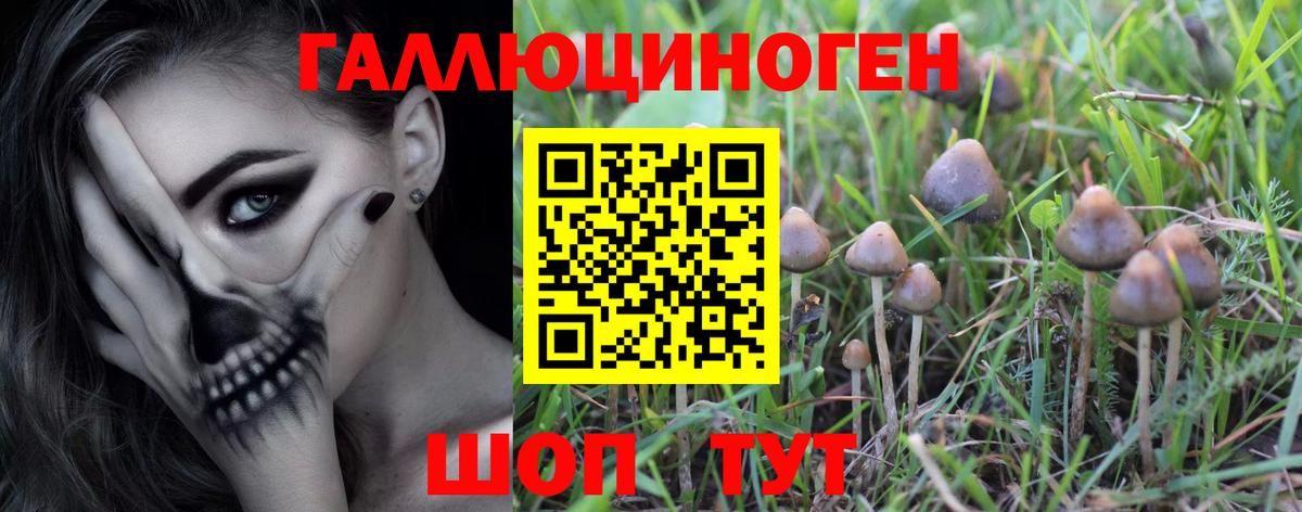 Псилоцибиновые грибы мицелий  Псилоцибиновые грибы прущие грибы  Вход с VPN  Коломна 