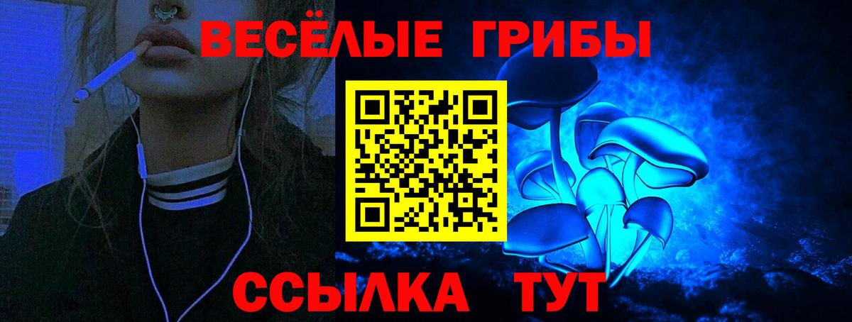 Псилоцибиновые грибы GOLDEN TEACHER Коломна